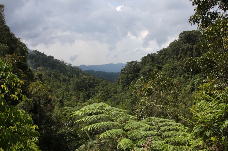 высокогорье fraser's hills в Малайзии, Паханг